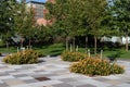 Green Trees and Flowers at Hudson River Park during the Summer in New York City Royalty Free Stock Photo