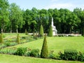 Green trees and fountain in the park of petergof Royalty Free Stock Photo