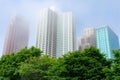 Green Trees in front of Skyscrapers along Michigan Avenue in the South Loop of Chicago on a Foggy Day Royalty Free Stock Photo