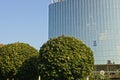 Green trees in front of a tall glass building Royalty Free Stock Photo