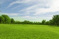 Green trees and gardens Beautiful light in the morning Royalty Free Stock Photo