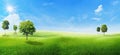 Green trees with grass natural meadow field and little hill with white clouds and blue sky in summer seasonal. Royalty Free Stock Photo