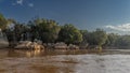 Green trees grow on the banks of a picturesque river.