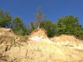 Trees over a cliff