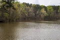 Green trees and lake at Historic Yates Mill Park