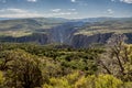 Green Trees Line the Dropoff into Black Canyon