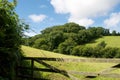 Green trees, lush fields, rolling hills viewed over a wooden five bar gate Royalty Free Stock Photo