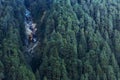 Green trees on the mountain with dried fall in the morning at Lachen in North Sikkim, India Royalty Free Stock Photo