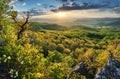 Green trees on mountain under dramatic spring sunset