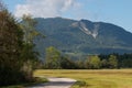 Green trees next to a path and Alp mountains in the background in a cozy rural countryside on a sunny day Royalty Free Stock Photo