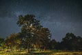 Green Trees Oak Woods In Park Under Night Starry Sky With Milky Way Galaxy. Night Landscape With Natural Real Glowing Royalty Free Stock Photo