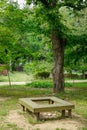 Green trees in the park at Namiseom