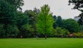 Green trees in the park at Namiseom