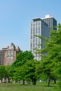 Green Trees at a Park at North Avenue Beach along Lake Shore Drive in Chicago with Buildings Royalty Free Stock Photo