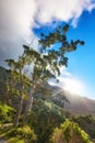 Green trees, plants and mountain grass in nature park or remote forest with blue sky and clouds. Landscape view of wild Royalty Free Stock Photo