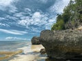 Green trees on the rocks. Sandy shore with algae. The calm sea background the blue sky with porous clouds. Big stones. Royalty Free Stock Photo