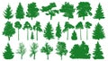 Green trees set. White background. Silhouette of a coniferous forest. Fir-tree, fir, pine, birch, oak, bush, branch. Royalty Free Stock Photo
