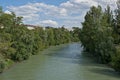 Green borders of Donaukanal river in Vienna Royalty Free Stock Photo