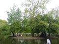 Green trees in small island in green lake Royalty Free Stock Photo