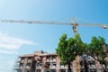 Green trees stand in front of Crane and building construction site