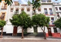 Green trees street and historical part of city Cordoba of Andalusia. Houses in traditional style, Spain Royalty Free Stock Photo