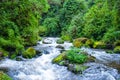 Rio Savegre, a roaring river near San Gerado de Dota, Costa Rica, passes though trees and large rocks