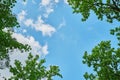 The sky through the green leaves of trees.Natural background Royalty Free Stock Photo