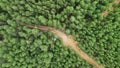 Aerial green jungle, top view, with a road in the middle, forest for ecosystem, environment background