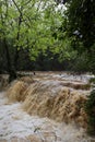 Trees in the water flood in Kursunlu waterfall nature park after the hard rain