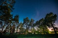 Green Trees Woods In Park Under Night Starry Sky. Night Landscape Royalty Free Stock Photo