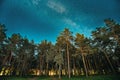 Green Trees Woods In Park Under Night Starry Sky With Milky Way Galaxy Royalty Free Stock Photo