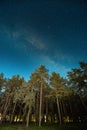 Green Trees Woods In Park Under Night Starry Sky With Milky Way Galaxy Royalty Free Stock Photo