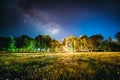 Green Trees Woods In Park Under Night Starry Sky. Night Landscape