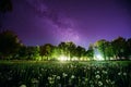 Green Trees Woods In Park Under Night Starry Sky In Violet Color Royalty Free Stock Photo