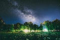 Green Trees Woods In Park Under Night Starry Sky In Violet Color. Landscape With Glowing Milky Way Stars Over Meadow At Royalty Free Stock Photo