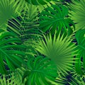 Green tropic repeat texture. Summer exotic background. Tropical palms leaves, monstera, . Vector nature wallpaper