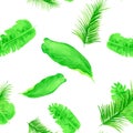 Green Tropical Exotic. Organic Seamless Botanical. White Pattern Leaf. Natural Drawing Botanical. Banana Leaf. Spring Art. Royalty Free Stock Photo