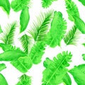 Green Tropical Illustration. White Seamless Leaves. Organic Pattern Illustration. Natural Drawing Foliage. Banana Leaf. Spring Royalty Free Stock Photo