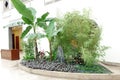 Green tropical landscape landscaping inside the hotel lobby. Royalty Free Stock Photo