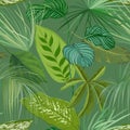 Green Tropical Leaves and Branches Seamless Pattern, Botanical Background. Realistic Spathiphyllum Cannifolium Paper