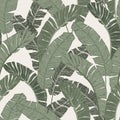 Green tropical leaves drawing seamless pattern Royalty Free Stock Photo