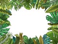 Green tropical leaves frame. Nature leaf border, summer vacation and jungle plants. Monstera and exotic palm tree leafs