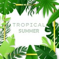 Green tropical leaves frame. Summer background. Paper cut style. Vector illustration Royalty Free Stock Photo