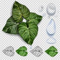 Turquoise and green tropical leaves. Seamless graphic design with amazing palms. Fashion, interior, wrapping, packaging suitable.