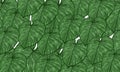 Green tropical leaves spring nature background