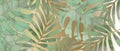 Green tropical luxury background with monstera leaves and palm leaves.