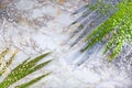 Green tropical palm leaves on marble background with gold silver sparkles. Flat lay, top view, copy space