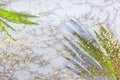 Green tropical palm leaves on marble background with gold sparkles. Flat lay, top view, copy space