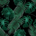 Green tropical palm leaves and monstera. Jungle thickets. Seamless floral pattern. Isolated on a black background