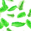 Green Tropical Plant. White Seamless Leaves. Organic Pattern Hibiscus. Natural Drawing Leaf. Banana Leaf. Spring Art. Watercolor Royalty Free Stock Photo
